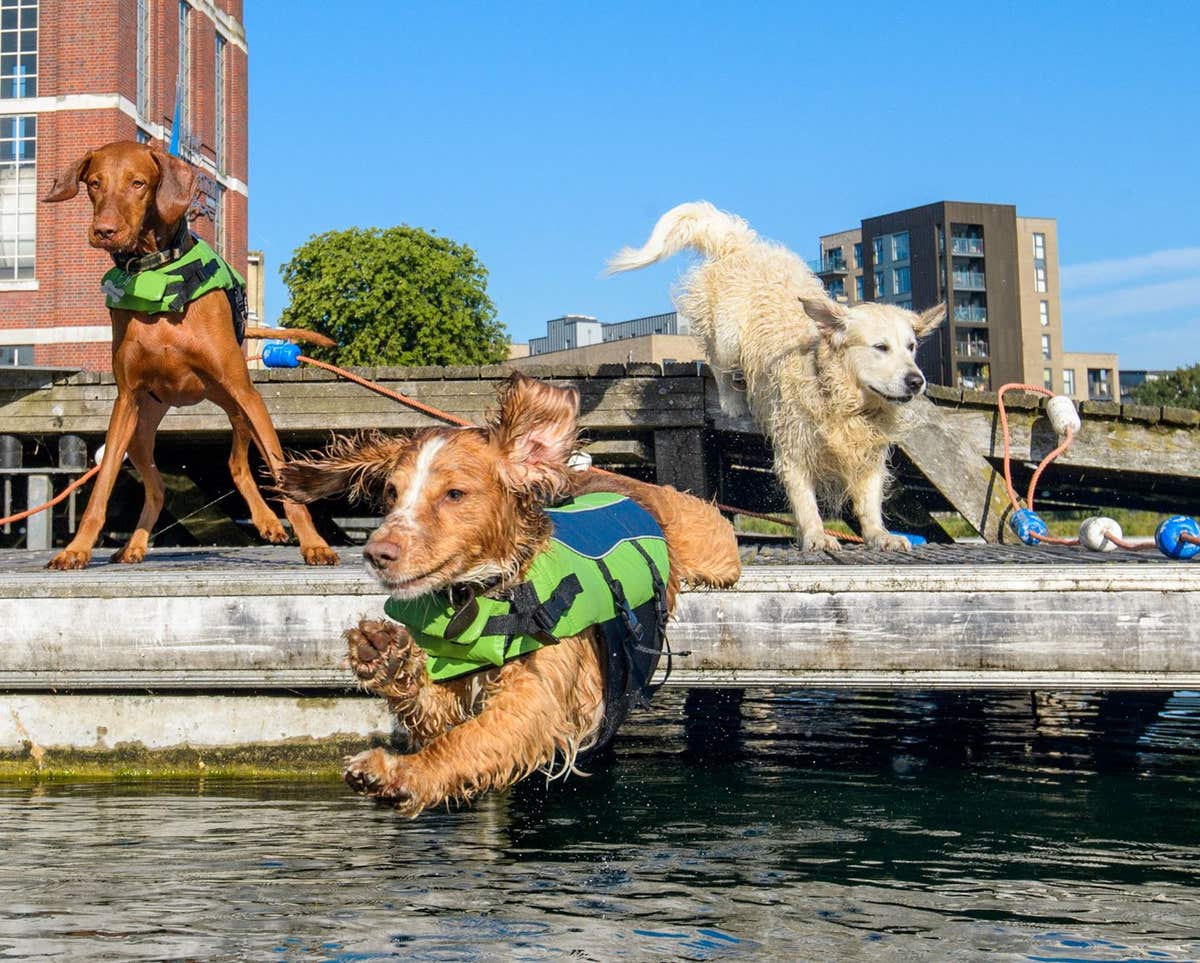 Keep Calm and Hand Out Ice Lollies: The Art of the British Heatwave PR Stunt