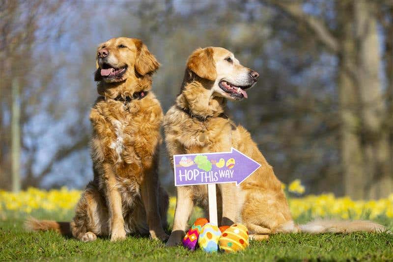Egg‑cellent PR: How Brands Can Make Easter Unforgettable