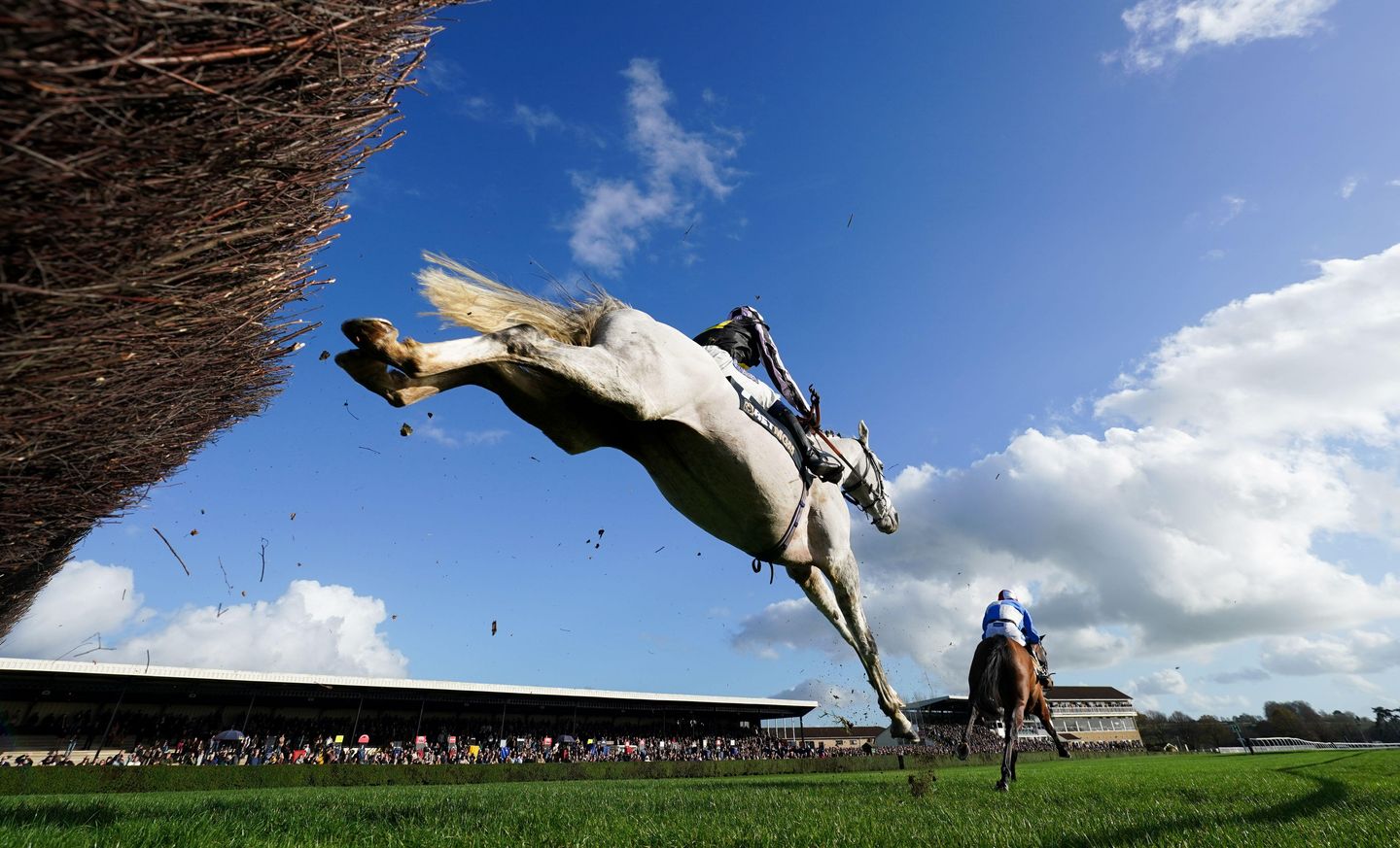 Tapley ridden by Isabelle Ryder during the Read Meg Nicholls' Blog At betmgm.co.uk Handicap Chase at Wincanton Racecourse. Picture date: Saturday November 8, 2025.