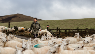 Farmer