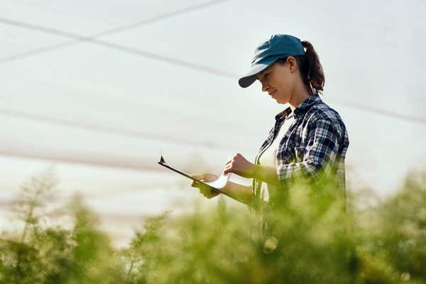 woman surveying paperwork outside