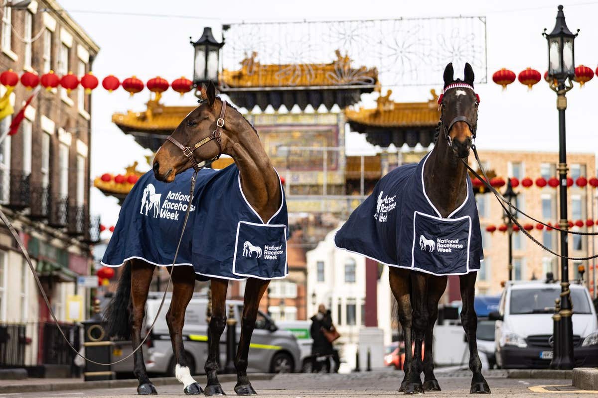 EDITORIAL USE ONLY (left to right) Racehorses Nora The Xplorer and Kemboy visit Liverpool’s Chinatown with Great British Raci