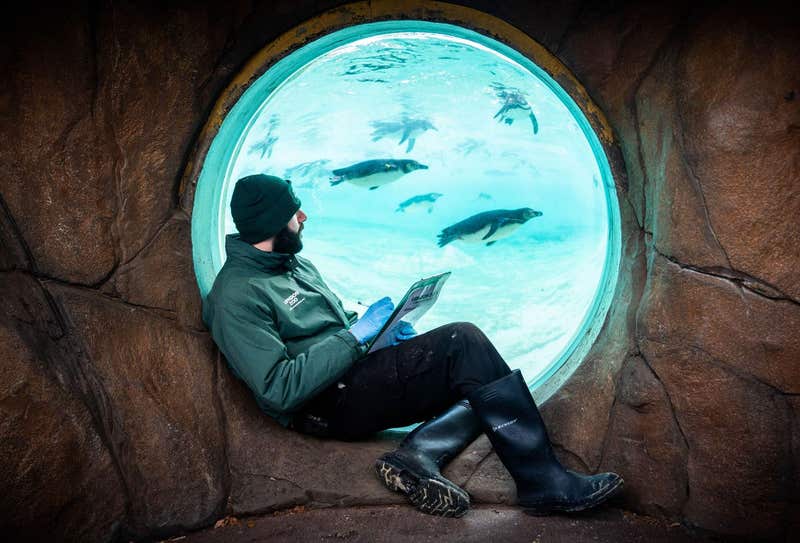Man next to fish tank