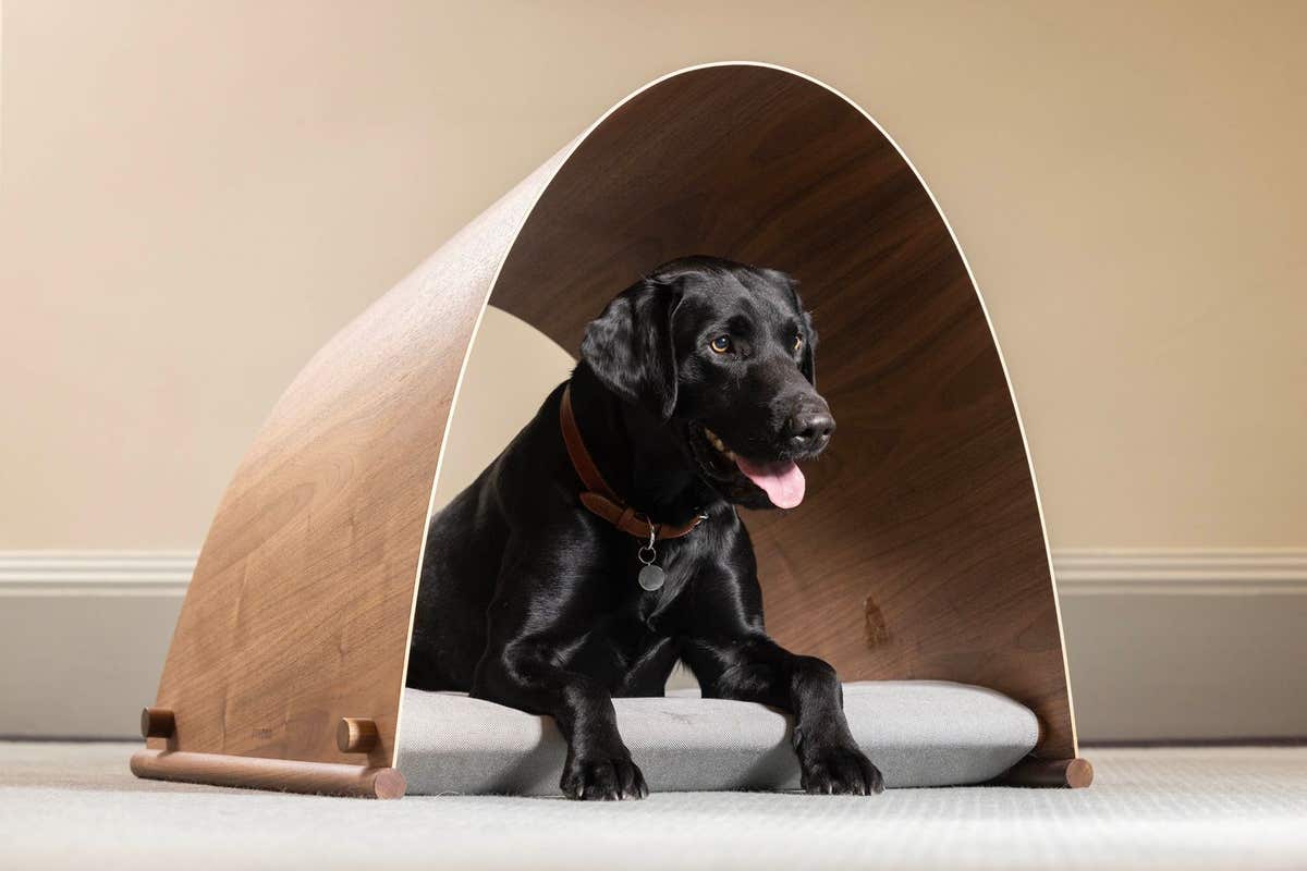 EMBARGOED TO 0001 MONDAY JANUARY 8 EDITORIAL USE ONLY Dylan the Labrador in Foster + Partners’ Dome-Home kennel from the 2023