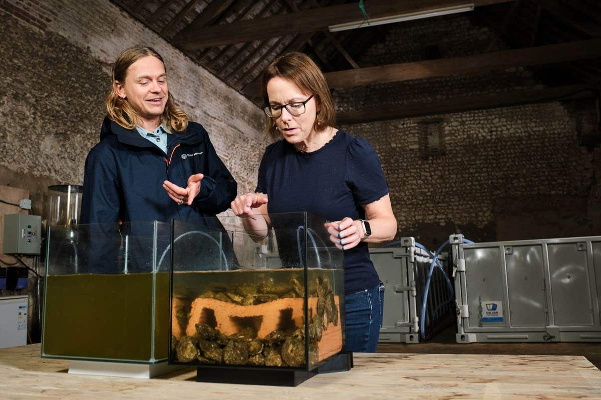 EMBARGOED TO 0001 WEDNESDAY SEPTEMBER 10 EDITORIAL USE ONLY George Birch, founder of Oyster Heaven, showing Claire Robinson-D