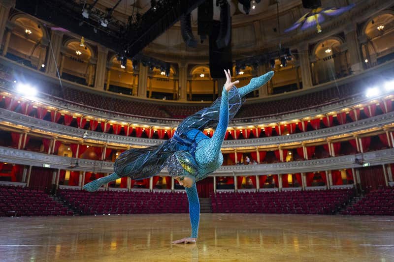OVO by Cirque du Soleil Cast Photos
